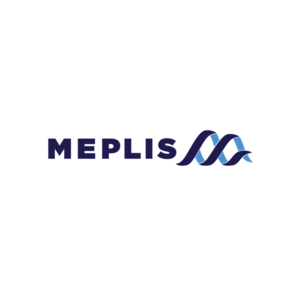 Meplis NV